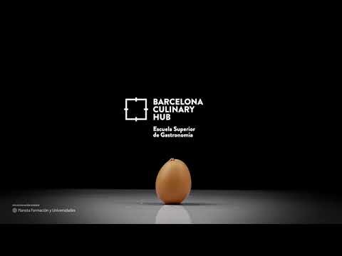 Aprende a Cocinar en Barcelona: Guía Práctica