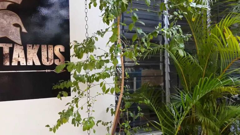 Explora las saunas termales de la ciudad