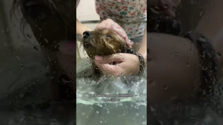 Experiencia relajante: sesión de aromaterapia en jacuzzi