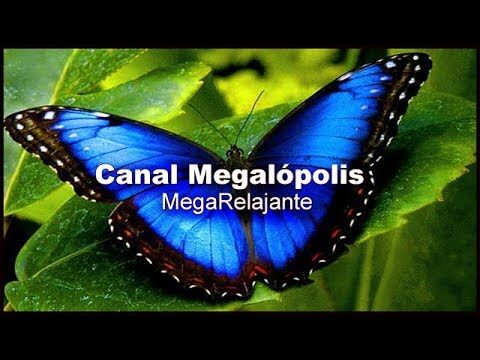 Actividades relajantes en la ciudad