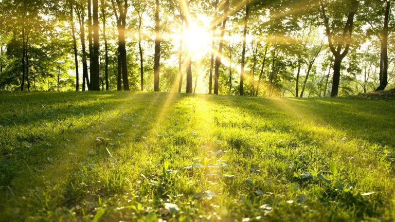 La serenidad y el descanso en los spas