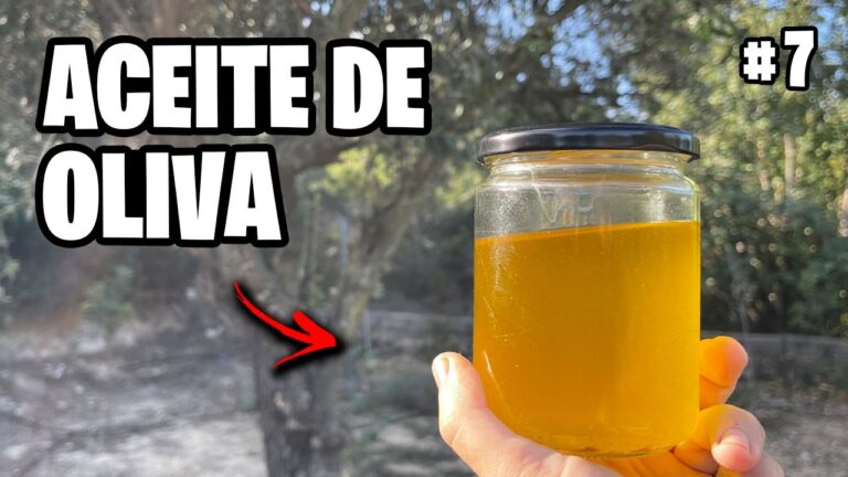 Degustación de Aceites Gourmet en Barcelona